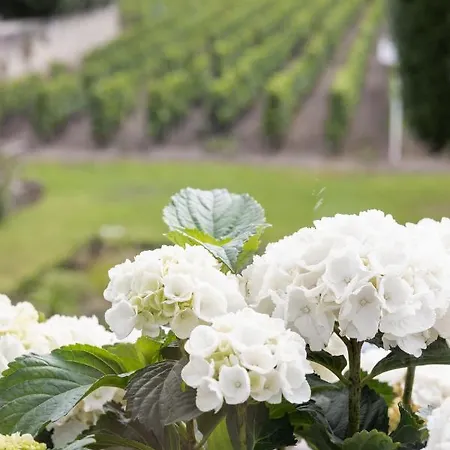 Porte Brunet * Saint-Emilion