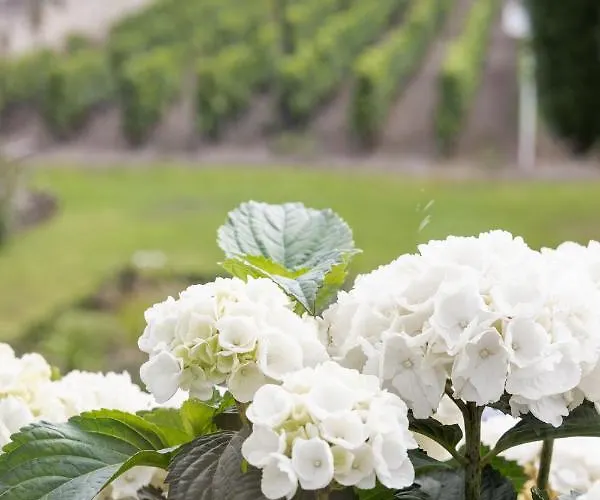 Porte Brunet 4* Saint-Émilion